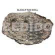 Ra Unpolished Blacklip Shells /