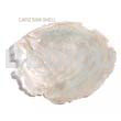 Ra Unpolished Capiz Shells /