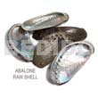 Ra Unpolished Abalone Shells /