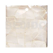 Flat 20mmx20mm Square Green Shell
