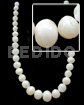 Graduated Troca Beads -male