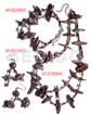 Set Jewelry/ Ordered Individually As