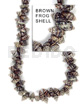 Frog Shell Brown ( Medium