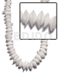 Pristine White Shell