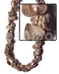 Everlasting Olive Shell