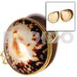 Limpit Shell Coin Purse