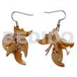 Dangling 17mmx8mm Brownlip 7pcs. Quarter