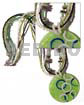 4 Layers Glass Beads Shell