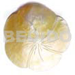MOP Flower Scallop 80mm