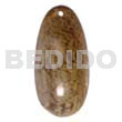 Olive Shell