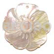 MOP Sunshine Flower 40mm
