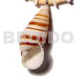 Land Snail