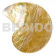 Snail MOP Design 45mm
