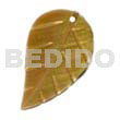 25mmx15mm Brownlip Leaf