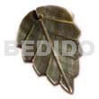 25mmx14mm Blacklip Leaf
