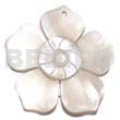 45mm Hammershell Flower Groove Nectar