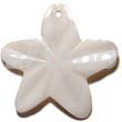 45mm Kabibe Shell Star Rounded