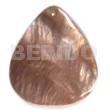 40mmx34mm Brownlip Rounded Teardrop