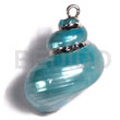 Turquoise Turbo Shell (approx. 35mm