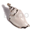 White Canarium (approx. 45mm -