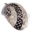 Glistening White Abalone /lapas (approx.