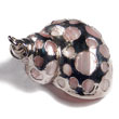 Faint Pink Turbo Shell (approx.