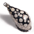 Casis Fela Family Shell (approx.