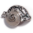 White Land Snail (approx. 30mm