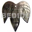 50mmx40mm Blacklip Leaf