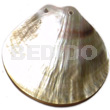 60mm Clam Shape Blacklip Shell