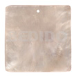 40mm Square Hammershell