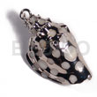 White Canarium (approx. 45mm -