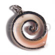 Luhuanus Strombus (approx. 35mm -