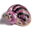Pink Turbo Shell (approx. 35mm