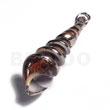 Chocolate Shell - Spiral (approx.