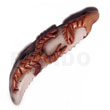 70mm Cowrie Tiger Shell Fang
