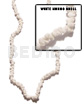 White Mongo Shell
