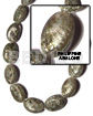 Philippine Abalone